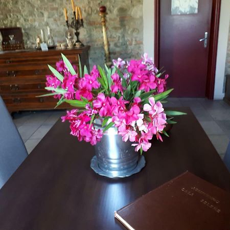 Casa Selene Rocchi Villa Savignano sul Panaro Kültér fotó