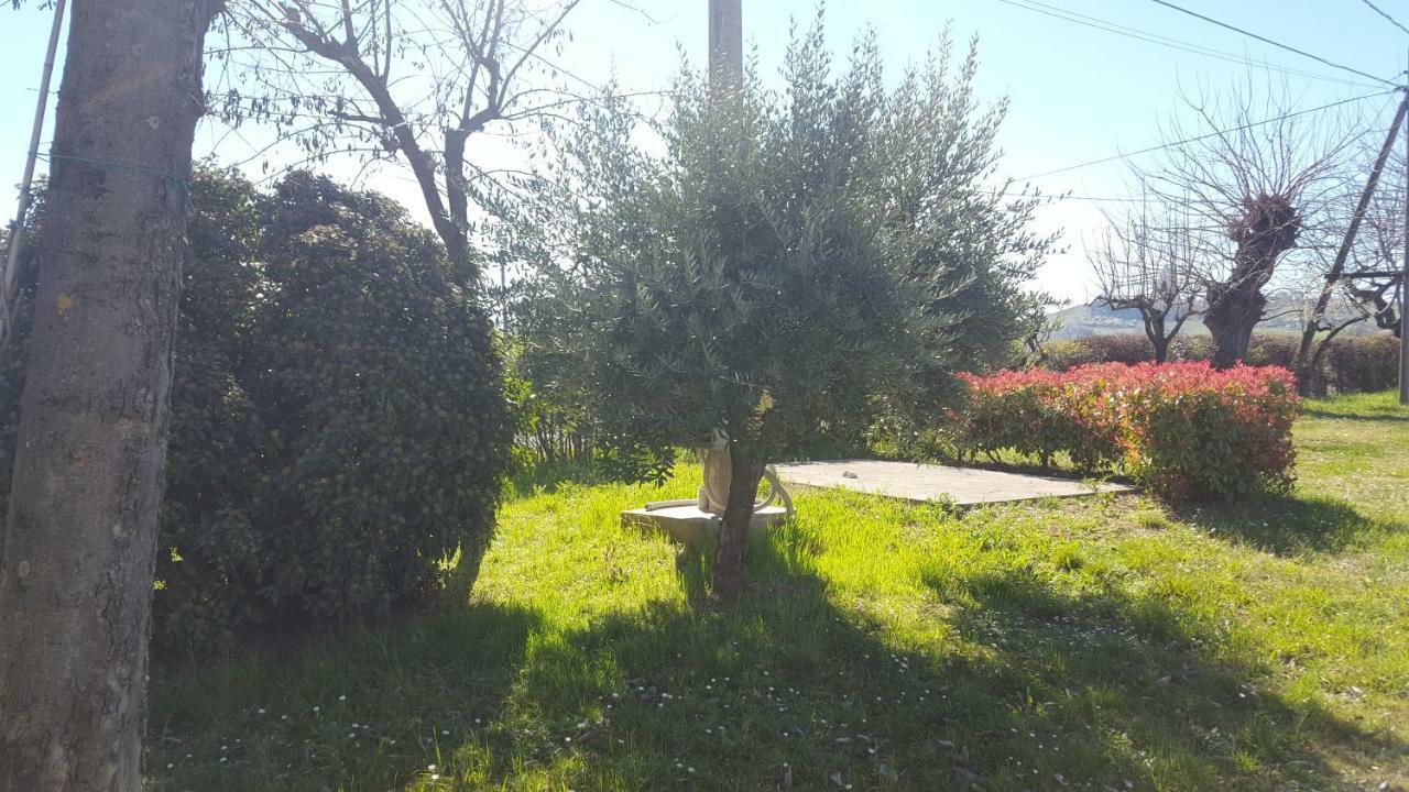 Casa Selene Rocchi Villa Savignano sul Panaro Kültér fotó